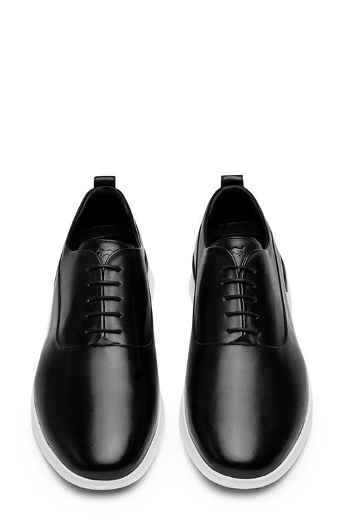 Shop Wolf & Shepherd Crossover™ Longwing Plain Toe Oxford In Black/white