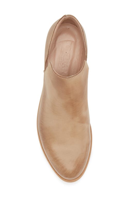 Cordani 'burk' Bootie In Taupe Nubuck