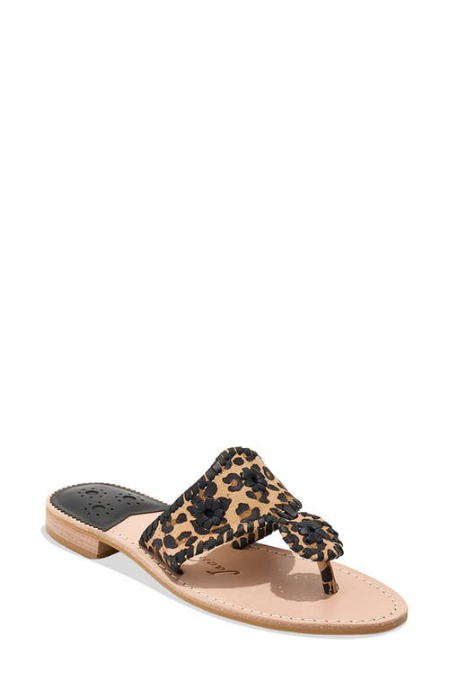 Jack Rogers Jacks Flip Flop in Leopard/Black 