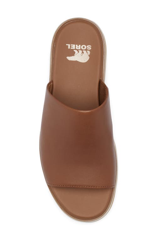 Sorel Dayspring Platform Slide Sandal In Velvet Tan/chalk