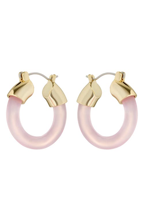 Shop Ted Baker London Marblla Hoop Earrings In Gold Tone/pink