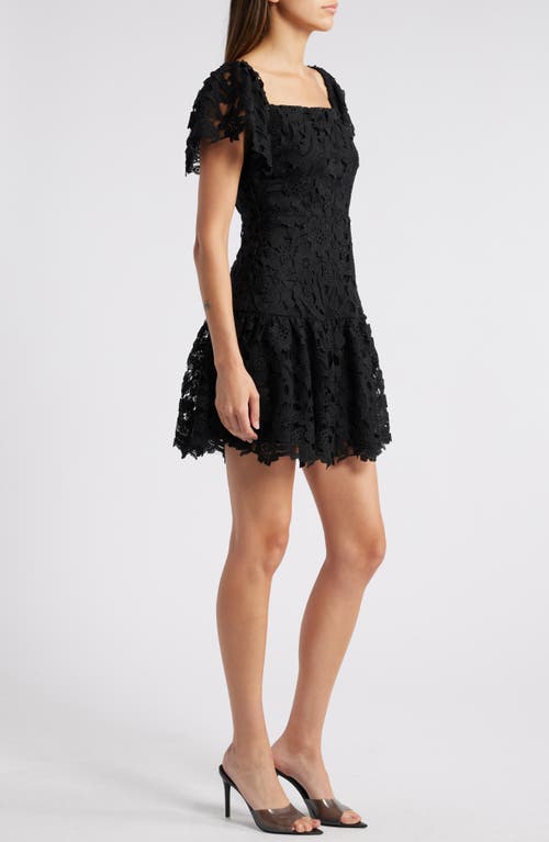 Shop Chelsea28 Flutter Sleeve Lace Minidress In Black