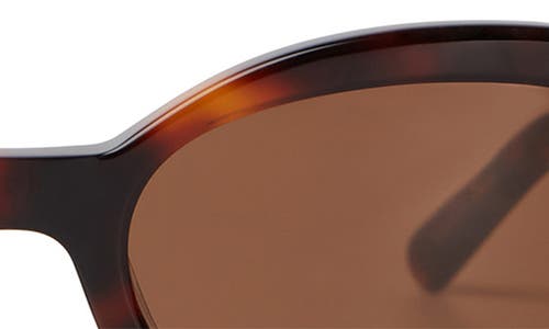 Shop Elisa Johnson Lyric Leigh 52mm Oval Sunglasses In Brown Tortoise