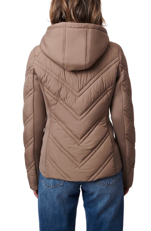 Shop Bernardo Hooded Puffer Jacket With Bib In Dusty Taupe