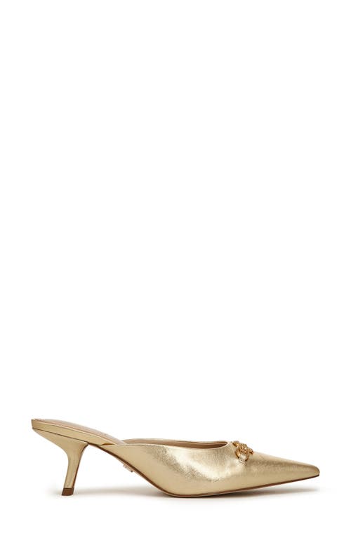 Shop Sam Edelman Brynne Mule In Amber Gold