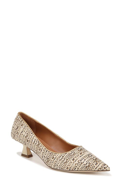 Sarto by Franco Diva Pointed Toe Kitten Heel Pump Beige at Nordstrom,