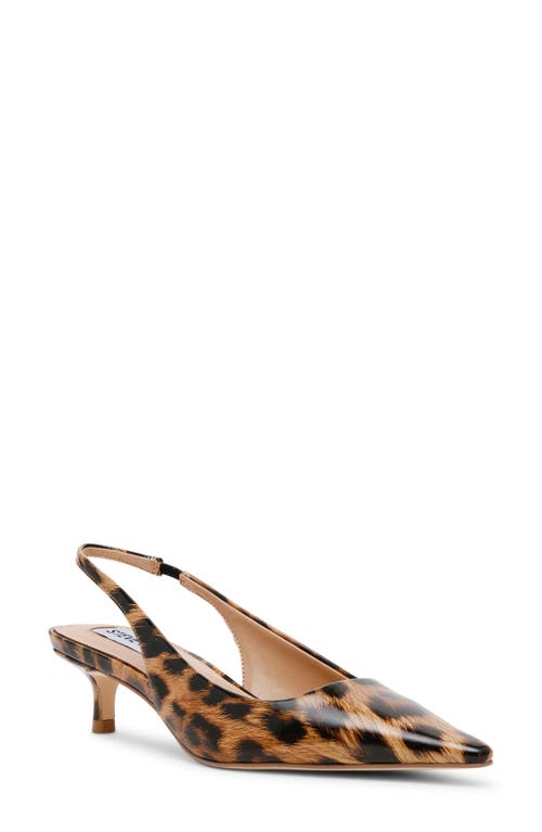 STEVE MADDEN STEVE MADDEN KARI POINTED TOE KITTEN HEEL SLINGBACK PUMP