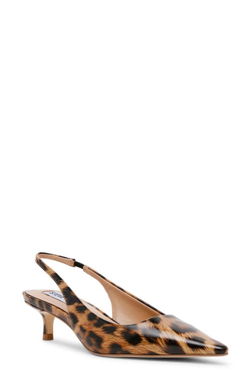 STEVE MADDEN STEVE MADDEN KARI POINTED TOE KITTEN HEEL SLINGBACK PUMP 