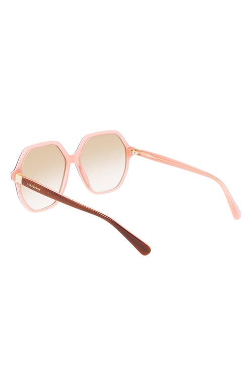 Shop Longchamp 58mm Le Pliage Modified Rectangle Sunglasses In Havana/rose