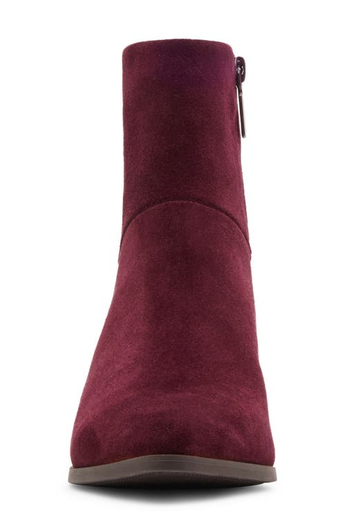Blondo Arena Pointed Toe Bootie In Wine Suede