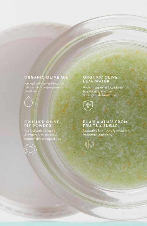 Furtuna Skin Triple Olive Lip Polish In No Color