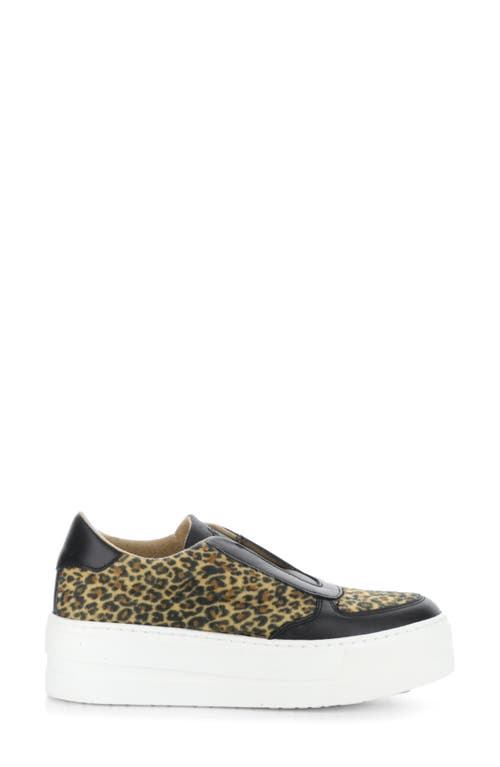 Bos. & Co. Magali Platform Slip-on Sneaker In Black/camel Verona/f