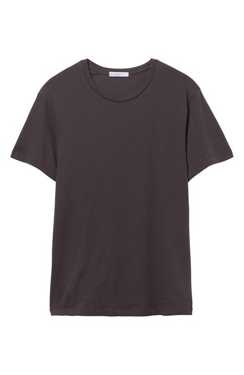 Alternative Solid Crewneck T-Shirt in Earth Coal at Nordstrom, Size X-Large