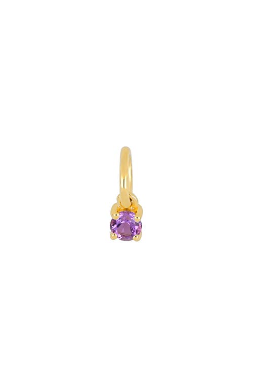 EF Collection Birthstone Charm in Yellow Gold/Amethyst at Nordstrom