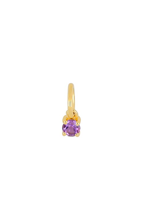 Shop Ef Collection Birthstone Charm In Yellow Gold/amethyst