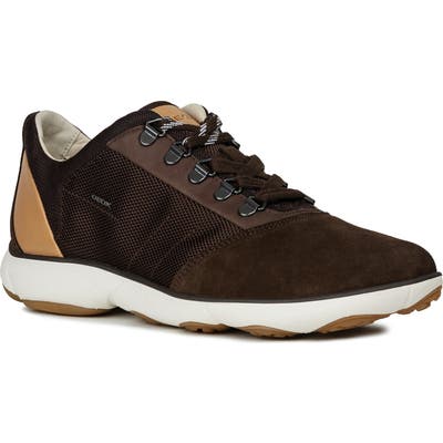 Geox Nebula 56 Sneaker, Brown
