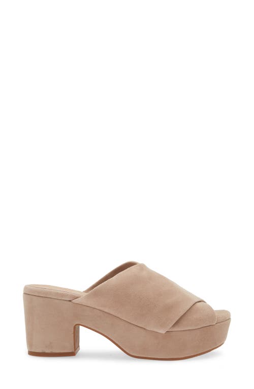 Shop Chocolat Blu Georgette Platform Slide Sandal In Latte Suede