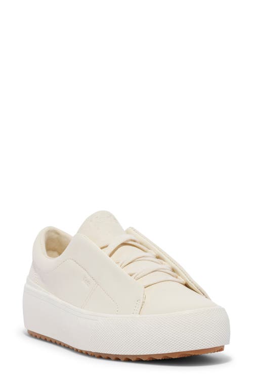 Keds ® Remi Platform Sneaker In Egret Leather