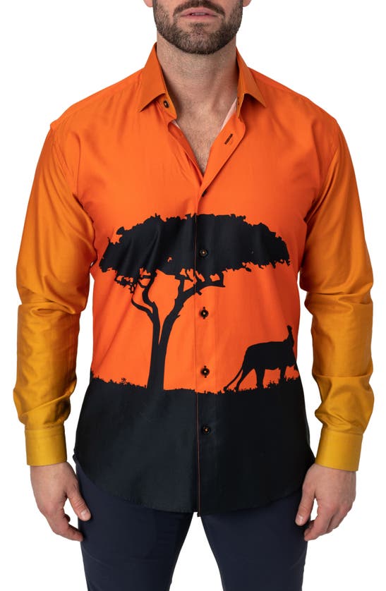 Maceoo Fibonacci Cotton Button-up Shirt In Orangednu