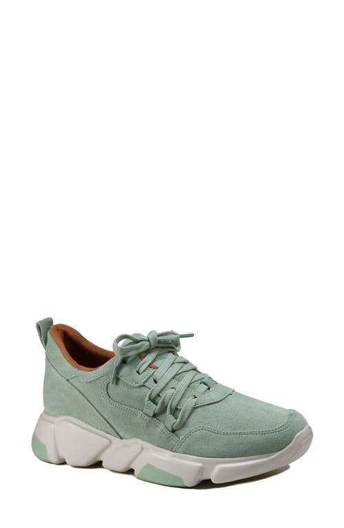 B*O*G COLLECTIVE Sneaker in Mint Suede