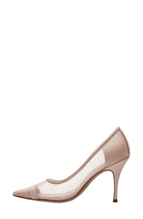 Linea Paolo Persia Pointed Toe Pump In Blush