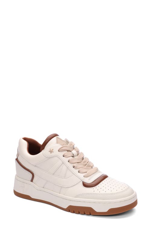 Ash Blake Panelled Leather Sneakers In Gardenia/amber