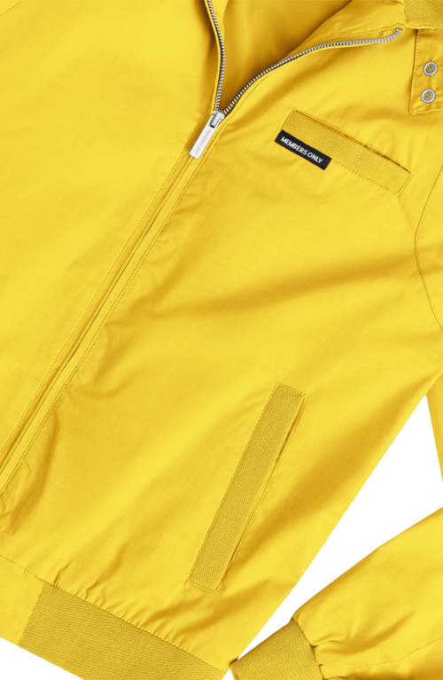 Shop Members Only Classic Iconic Racer Jacket In Yellow