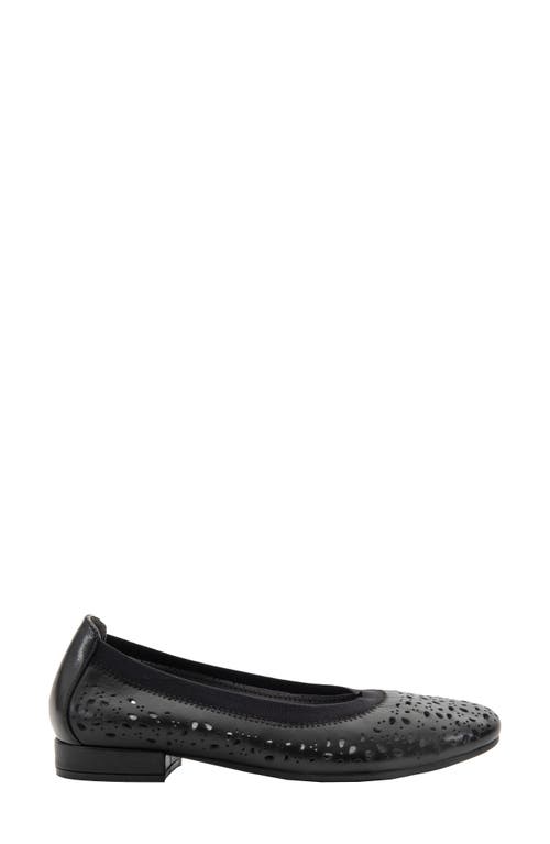 David Tate Laser Cut Ballet Flat In Black Calf