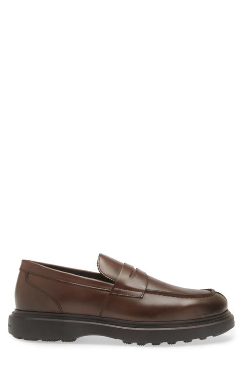 Shop Stuart Weitzman Alvin Penny Loafer In Brown