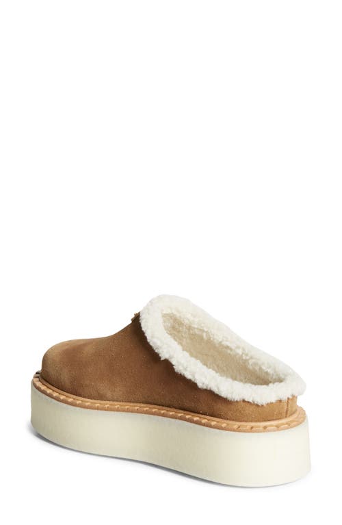 Shop Prada Evolve Genuine Shearling Clog In Cannella