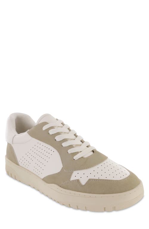 Shop Strauss And Ramm Kasso Colorblock Sneaker In White/sahara