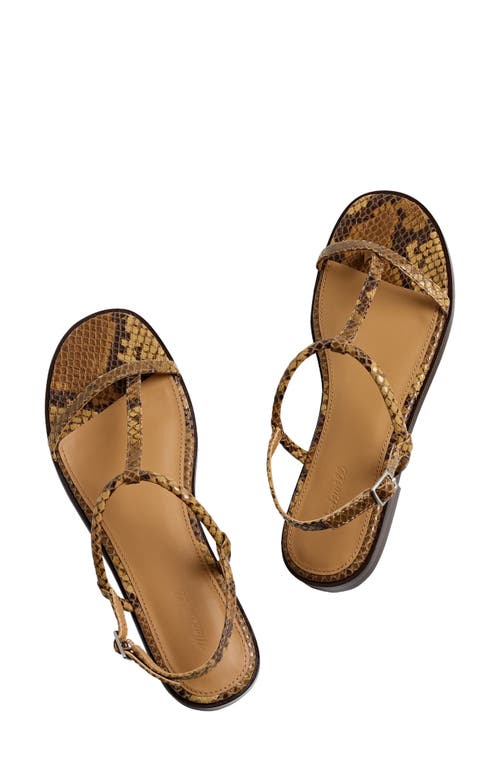 Shop Madewell The Bev T-strap Sandal In Sepia Multi