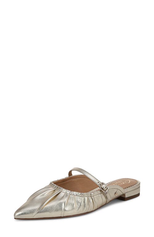 Shop Circus Ny By Sam Edelman Larissah Pointed Toe Mule In Jute