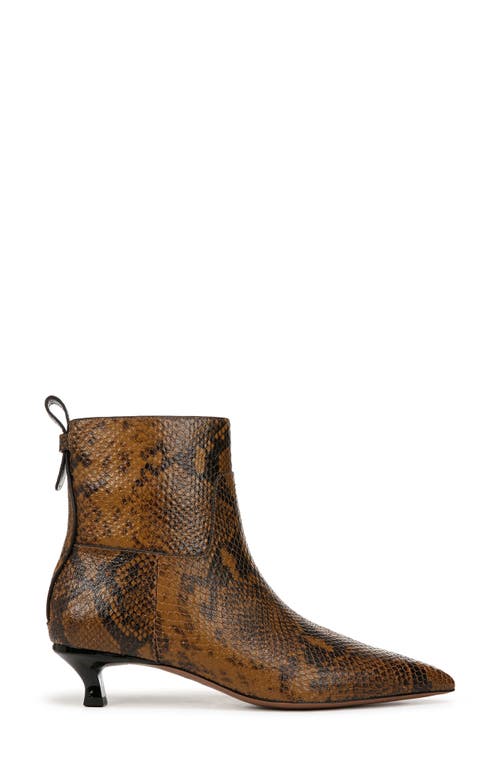 Shop Sarto By Franco Sarto Mala Pointed Toe Kitten Heel Bootie In Brown Snake Print