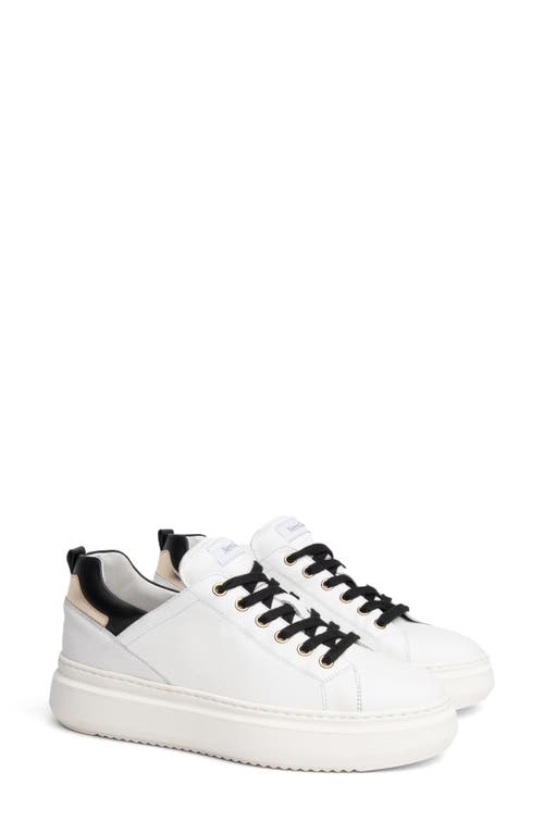 NeroGiardini Skate Sneaker in White at Nordstrom, Size 11Us