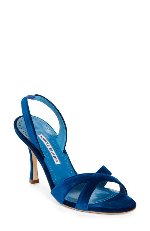 Shop Manolo Blahnik Callasli Sandal In Cobalt Blue Velvet