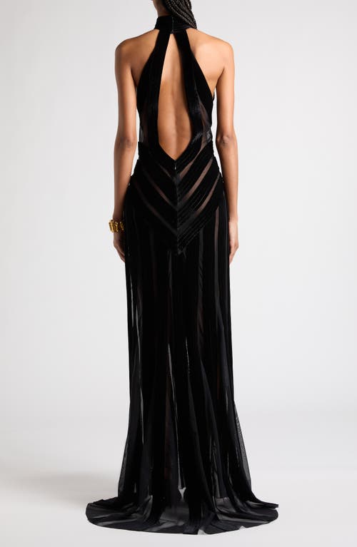 Shop Tom Ford Halter Neck Stretch Tulle & Velvet Gown In Black