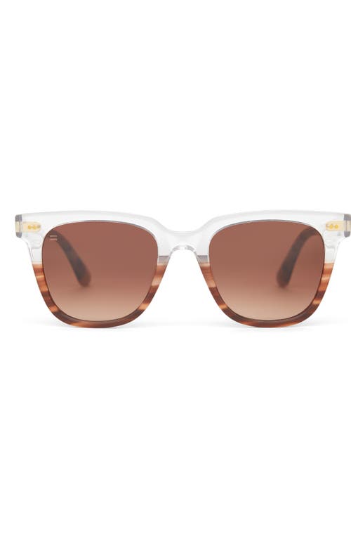 TOMS TOMS MEMPHIS 301 51MM SQUARE SUNGLASSES