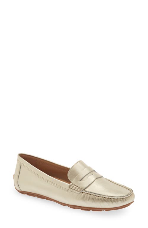 Penny Driving Loafer in Platino