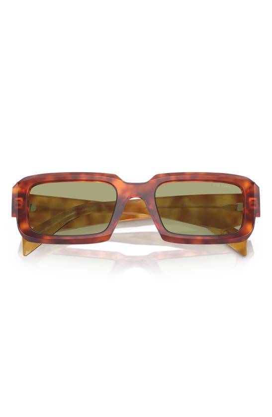 Shop Prada 55mm Cat Eye Sunglasses In Green