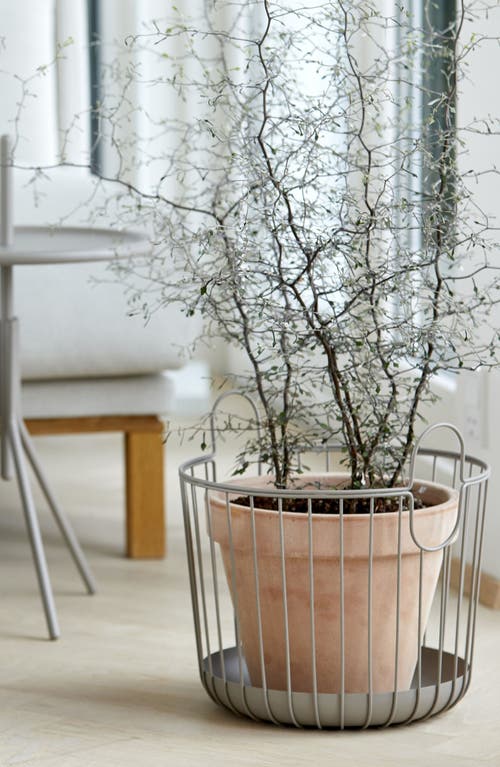 Zone Denmark Inu Large Wire Basket In Soft Grey