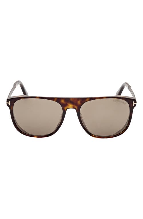 Shop Tom Ford Lionel 55mm Square Sunglasses In Dark Havana/roviex Gunmental