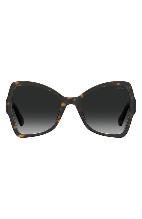 Shop Moschino 54mm Butterfly Sunglasses In Havana/grey Shaded