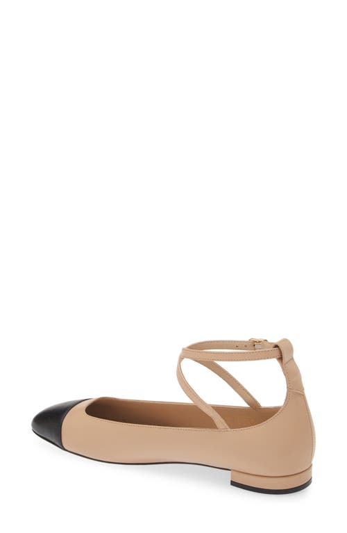 Shop Stuart Weitzman Eden Strap Flat In Adobe/black