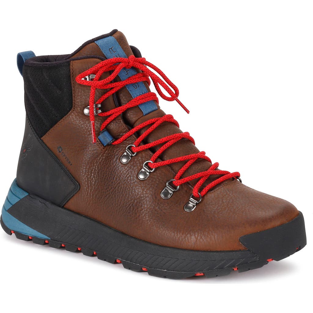 Spyder Blacktail Waterproof Hiking Boot in Brown  product
