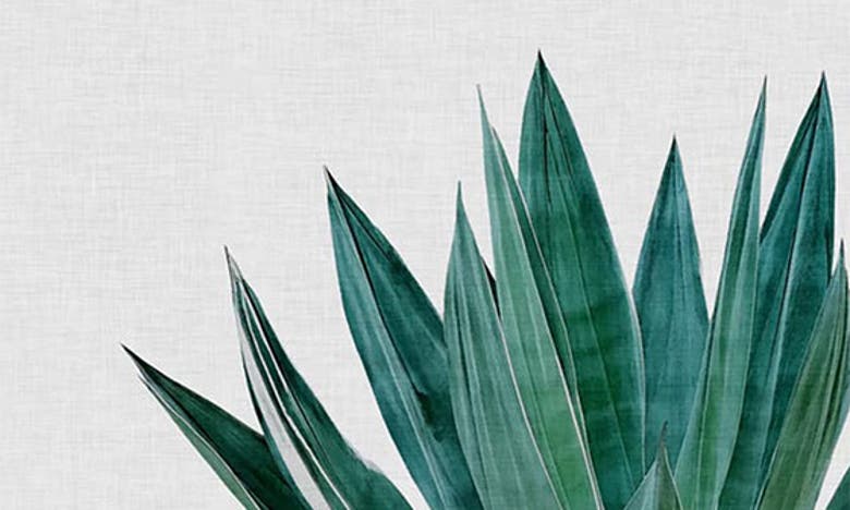 Icanvas Plants, Flowers & Trees Canvas Artwork In Green Flora