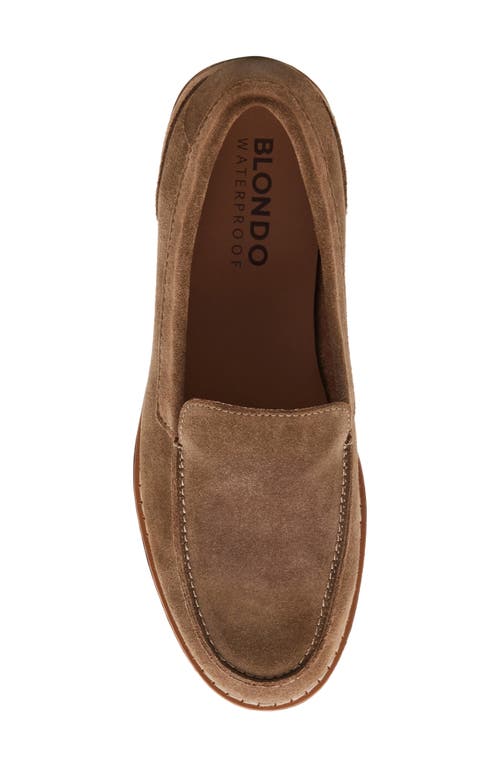 Blondo Libra Waterproof Loafer In Taupe Suede