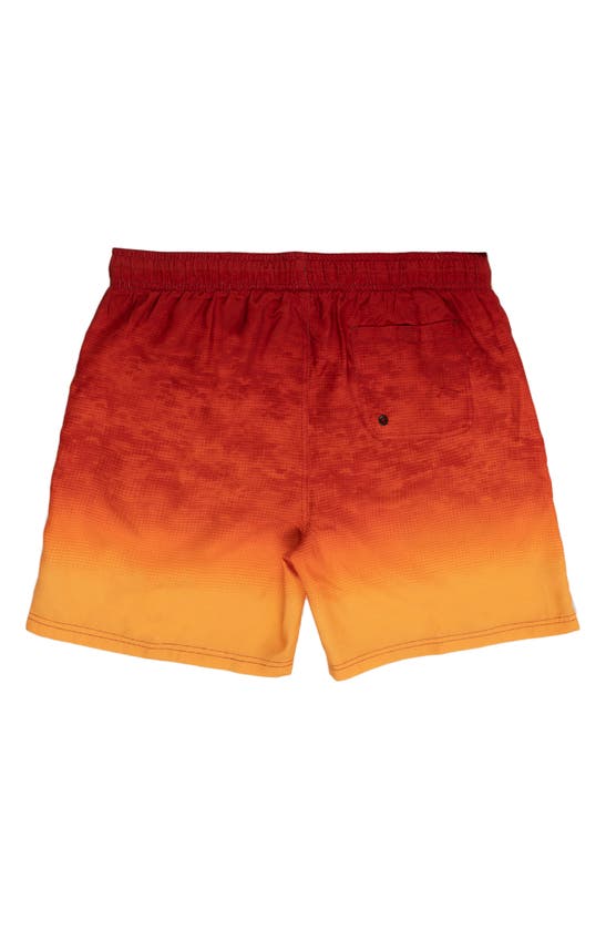 Shop Burnside 17" Swim Trunks In Orange