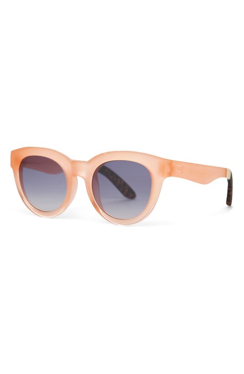 Toms Florentin 52mm Cat Eye Sunglasses In Peach Crystal Fade/blue