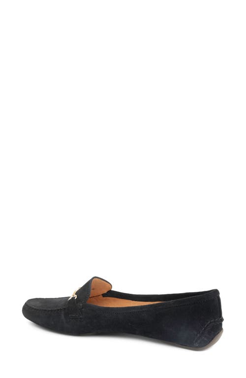 Shop Patricia Green Caroline Moc Toe Bit Loafer In Black Suede